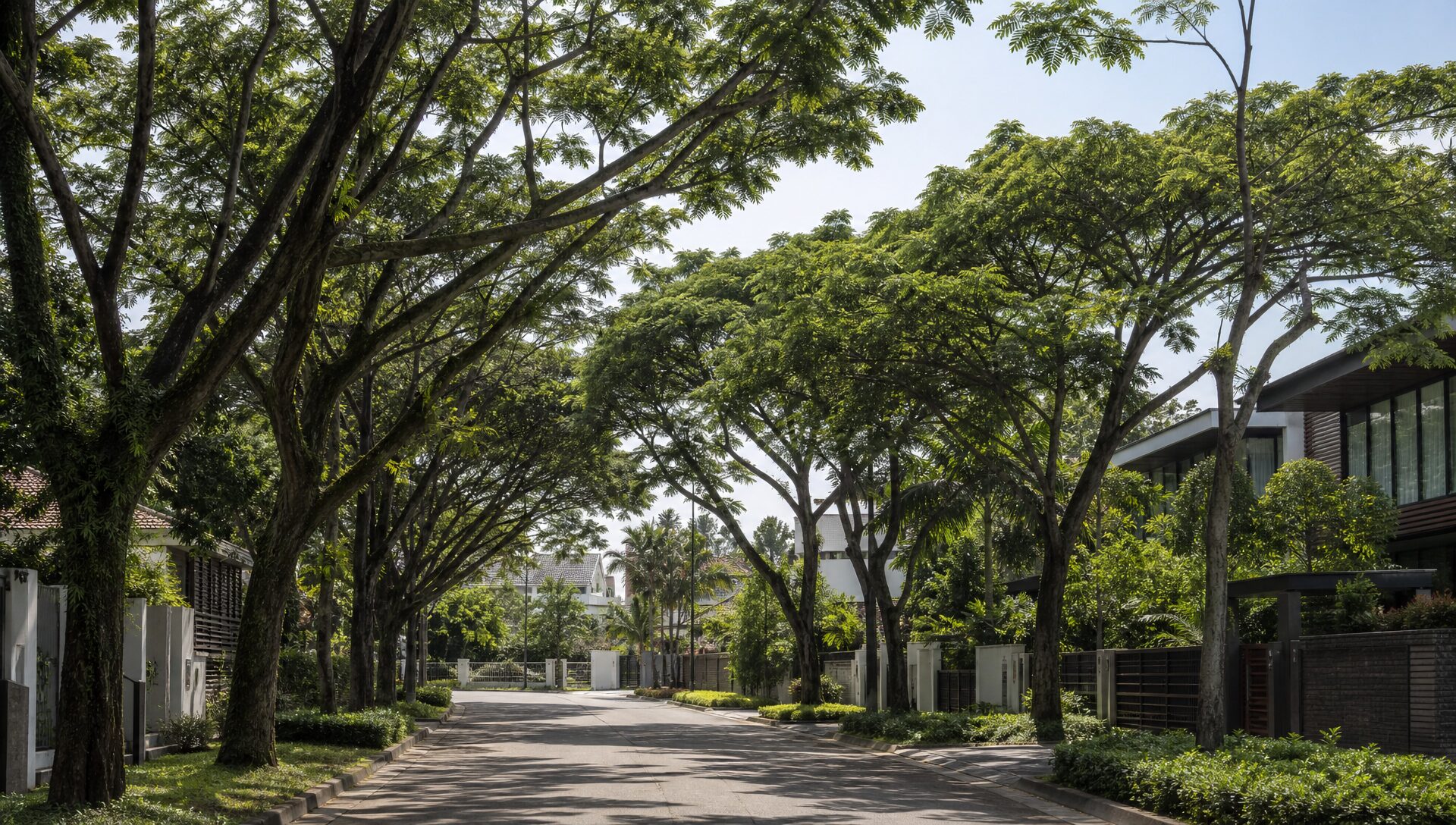 Tree Care service in Singapore